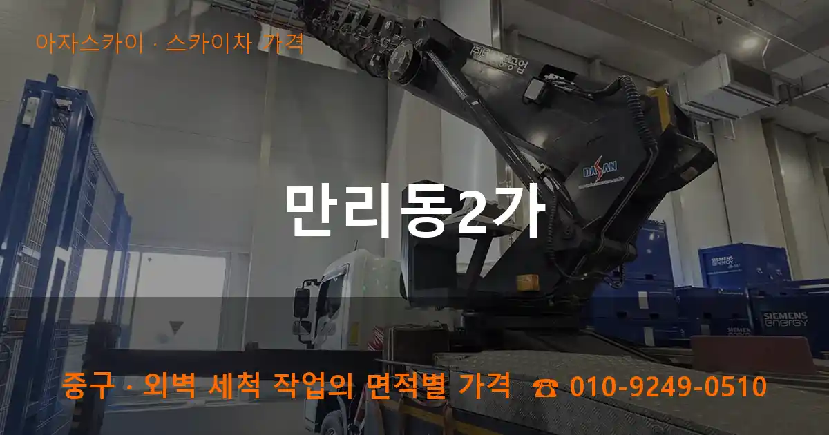 중구 만리동2가 스카이차 가격 작업