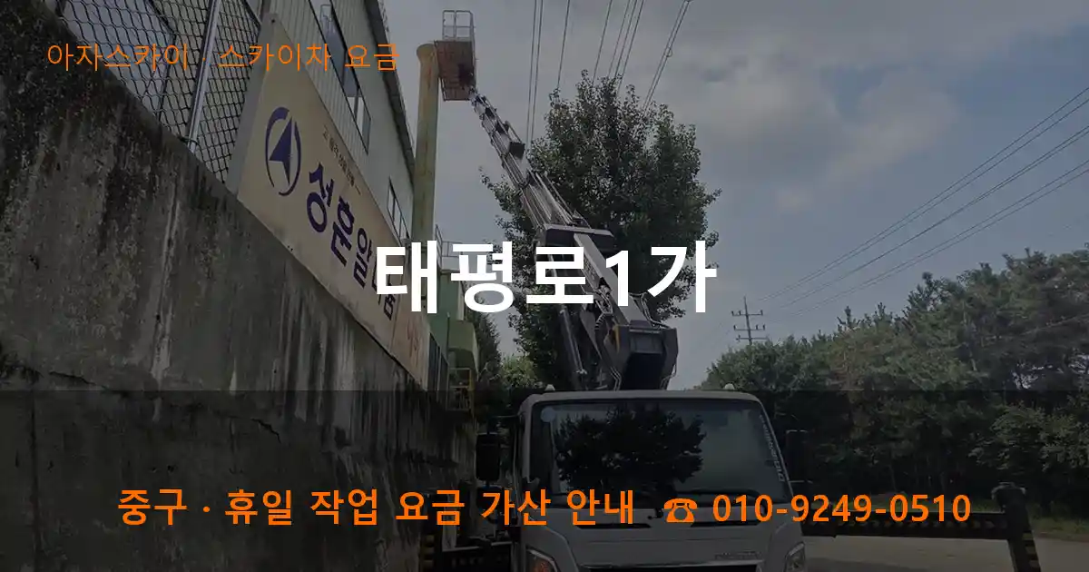 중구 태평로1가 스카이차 요금 작업
