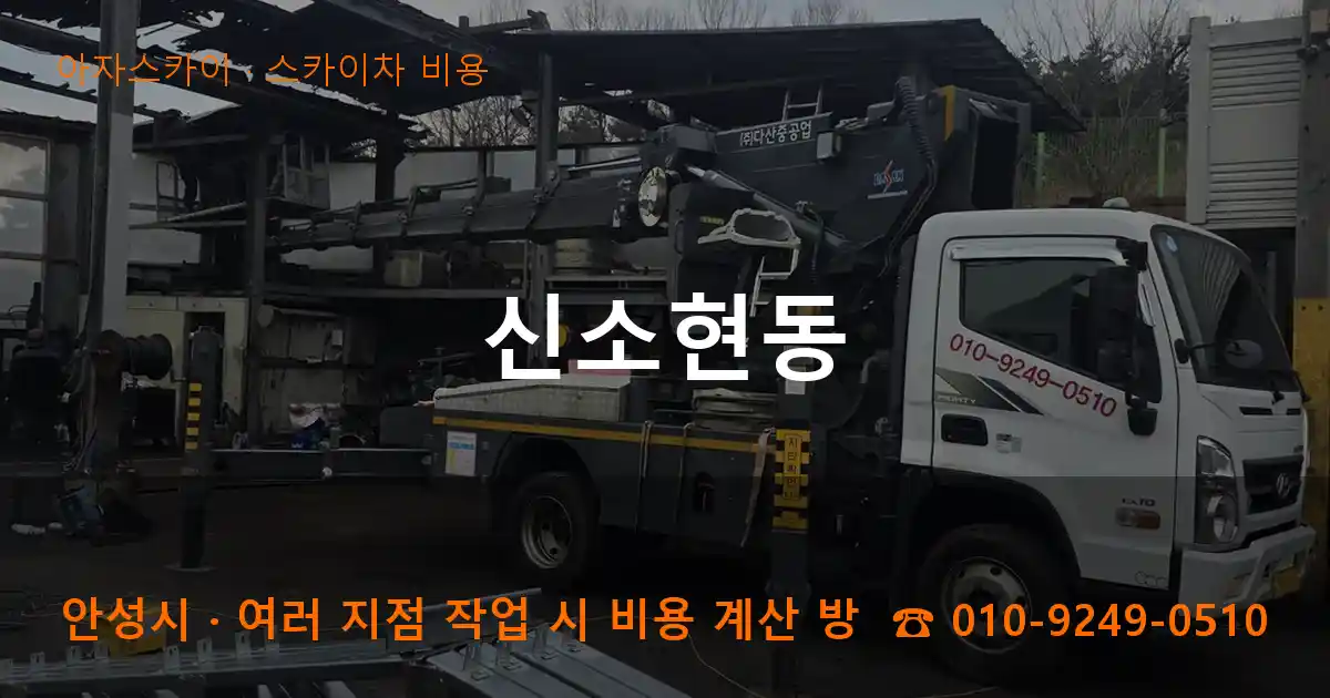 안성시 신소현동 스카이차 비용 작업