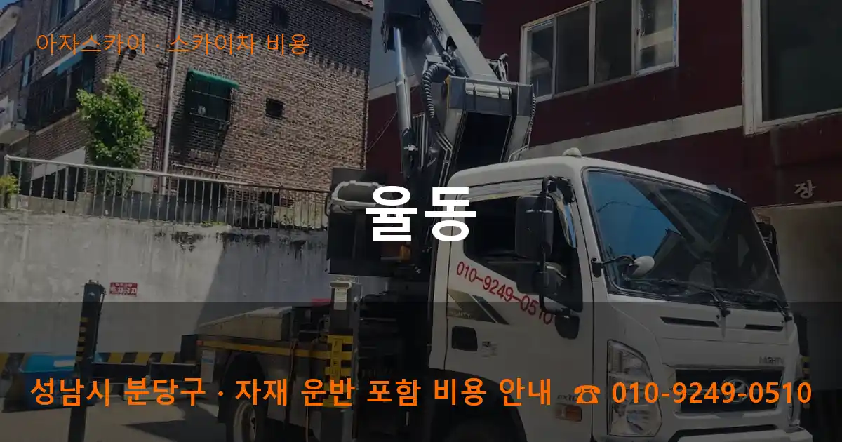 성남시 분당구 율동 스카이차 비용 작업