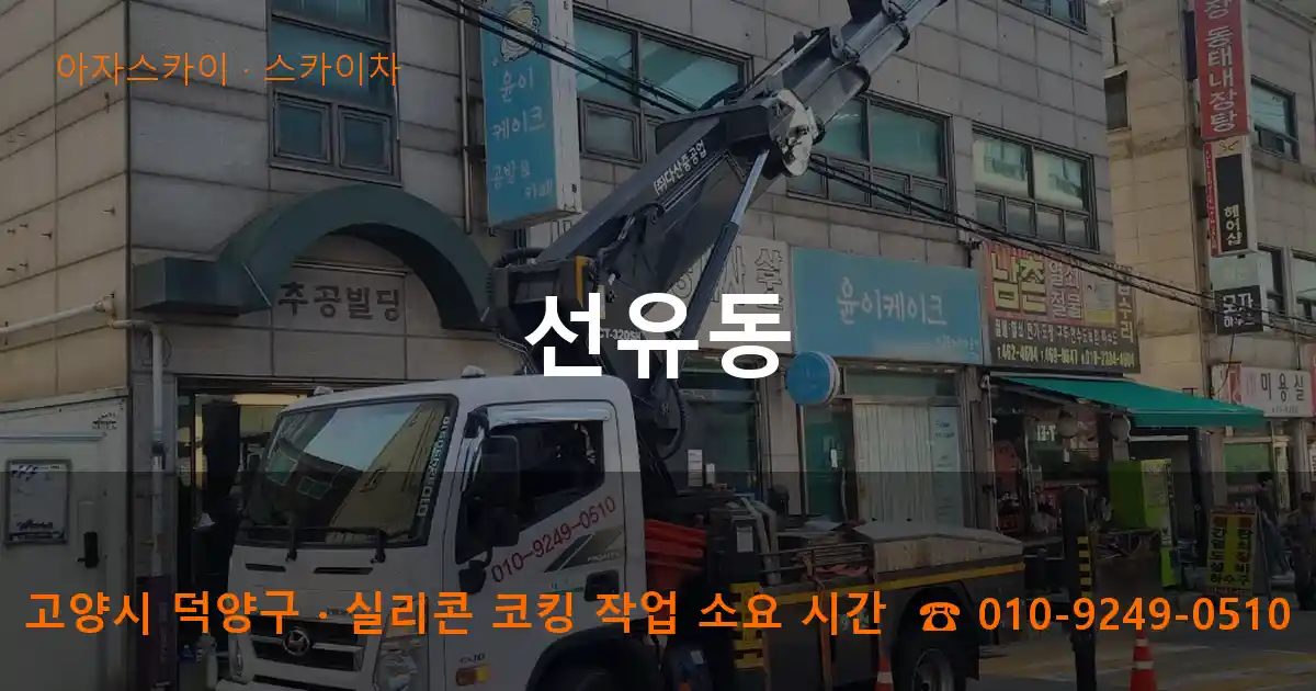 고양시 덕양구 선유동 스카이차 작업
