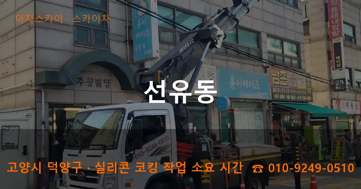 고양시 덕양구 선유동 스카이차 작업
