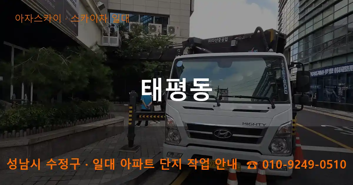 성남시 수정구 태평동 스카이차 일대 작업