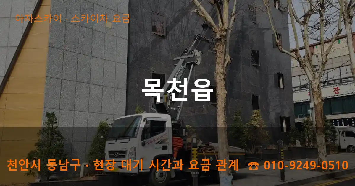 천안시 동남구 목천읍 스카이차 요금 작업