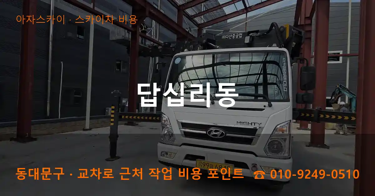 동대문구 답십리동 스카이차 비용 작업