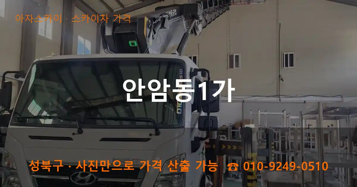 성북구 안암동1가 스카이차 가격 작업