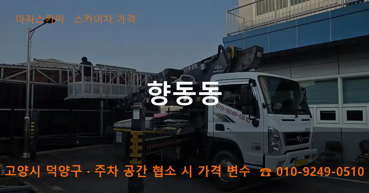 고양시 덕양구 향동동 스카이차 가격 작업