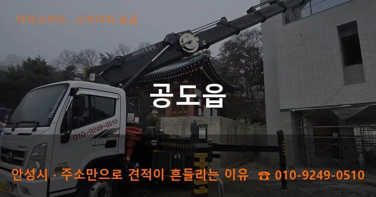 안성시 공도읍 스카이차 요금 작업