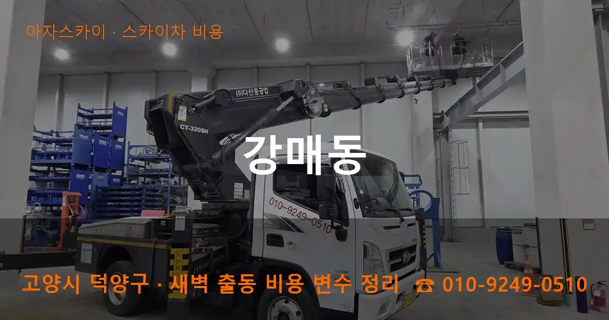 고양시 덕양구 강매동 스카이차 비용 작업