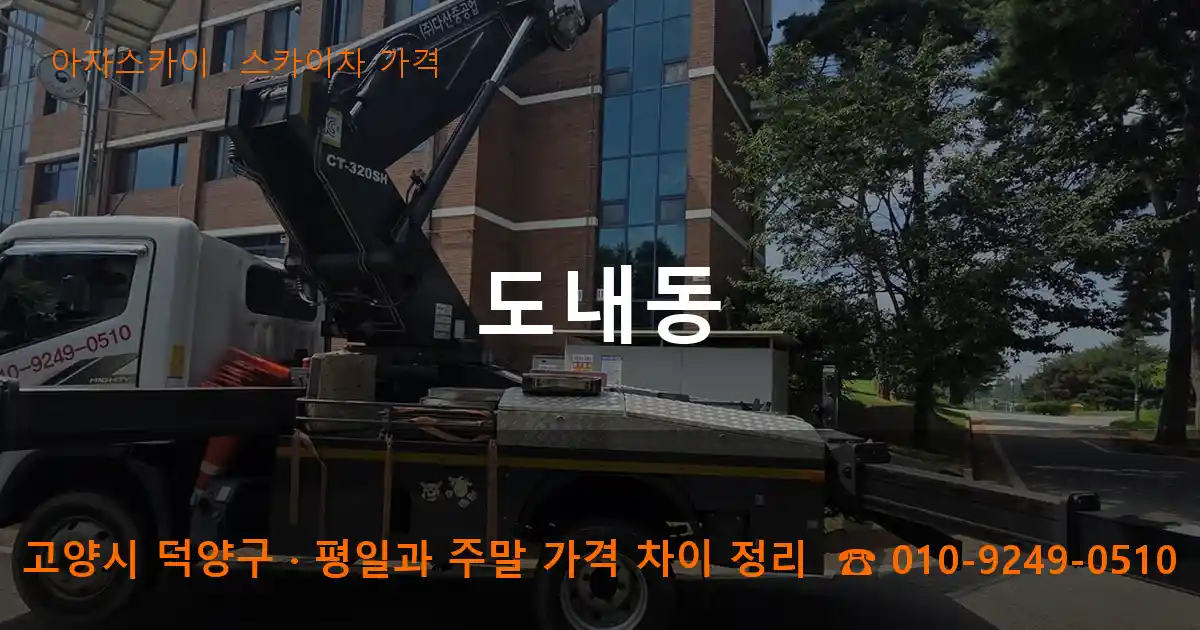 고양 덕양구 도내동 스카이차 가격 작업