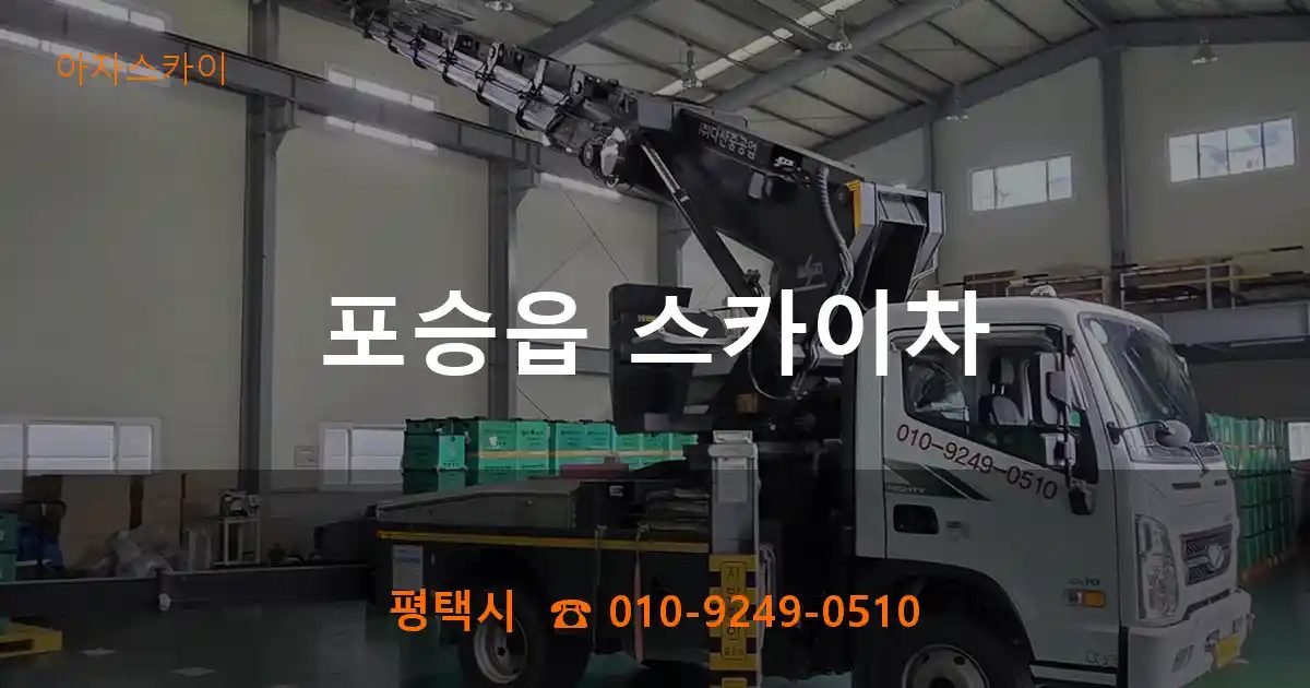 평택시 포승읍 스카이차