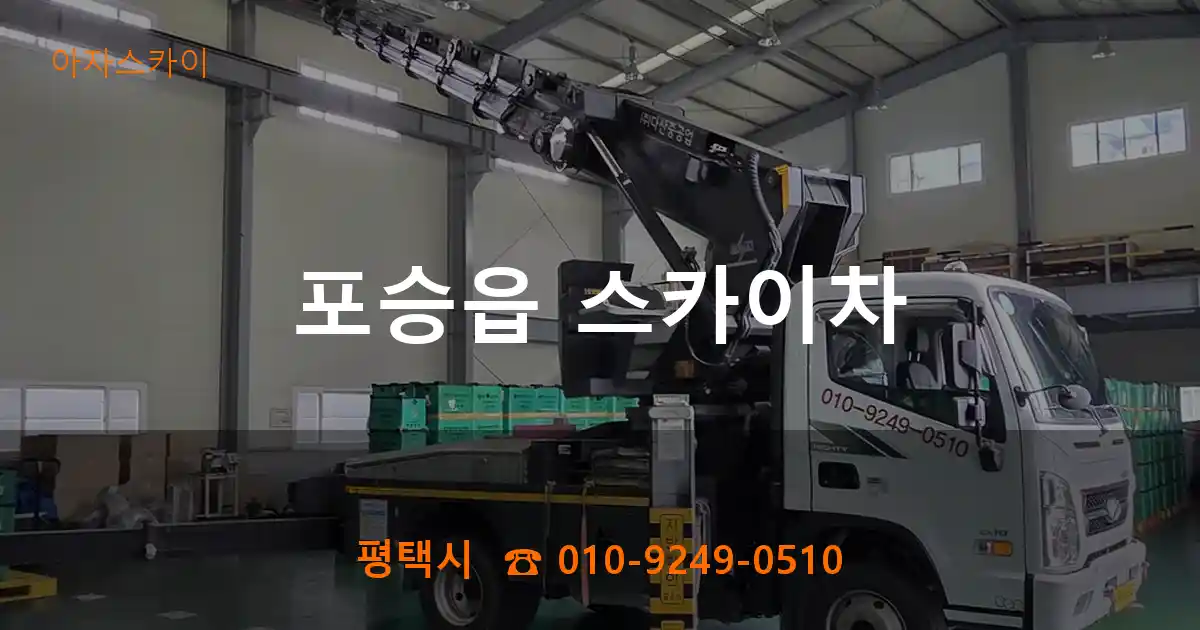 평택시 포승읍 스카이차