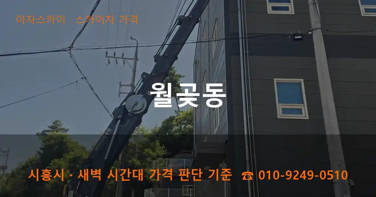 시흥시 월곶동 스카이차 가격 작업