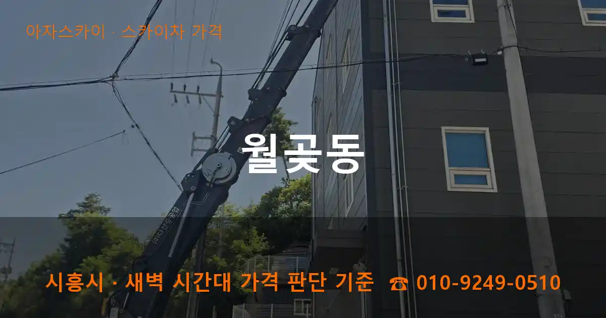 시흥 월곶동 스카이차 가격 작업