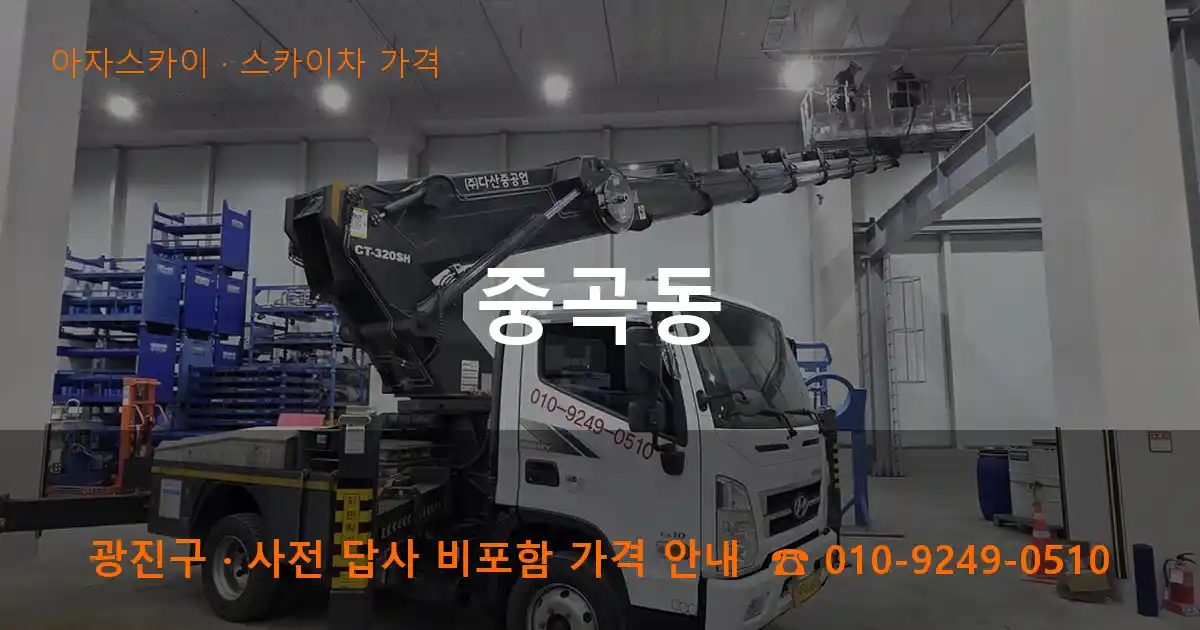 광진구 중곡동 스카이차 가격 작업