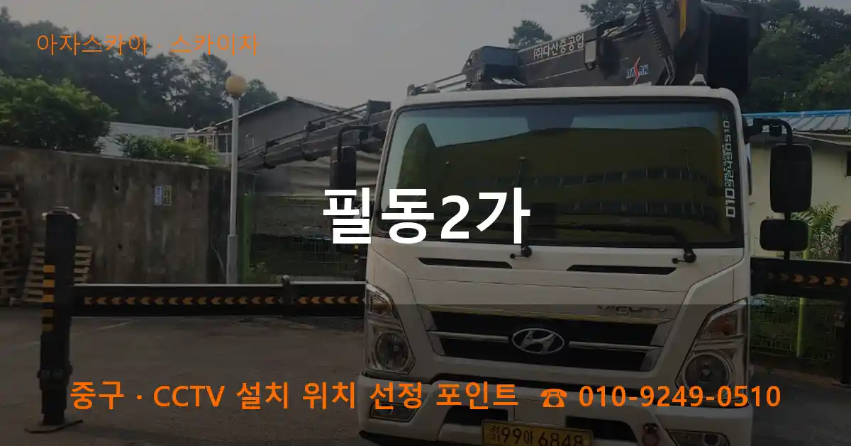 중구 필동2가 스카이차 작업