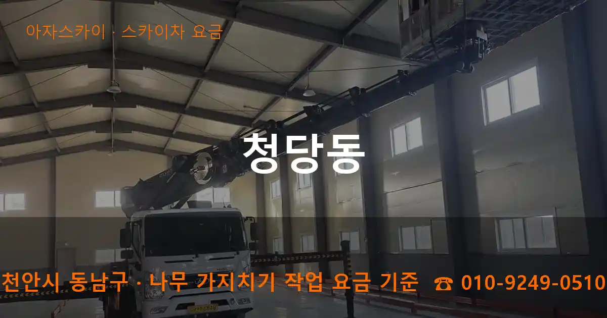 천안시 동남구 청당동 스카이차 요금 작업