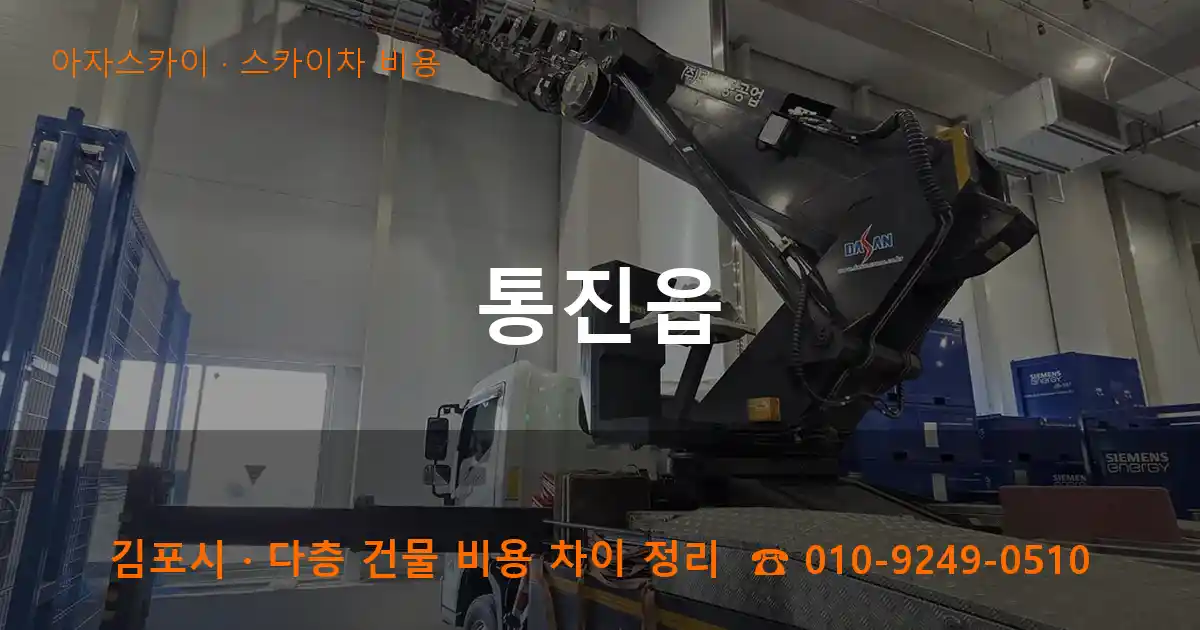 김포 통진읍 스카이차 비용 작업