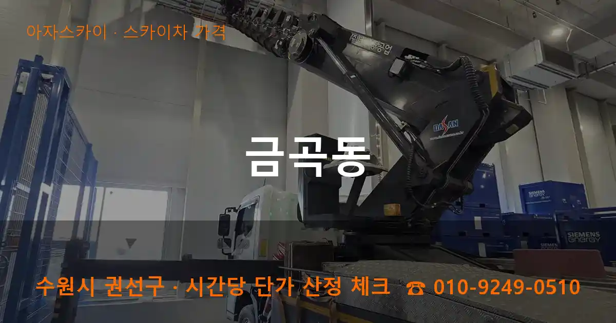 수원 권선구 금곡동 스카이차 가격 작업