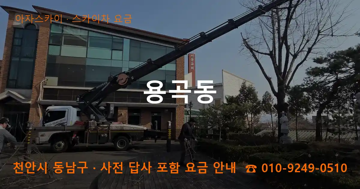 천안 동남구 용곡동 스카이차 요금 작업