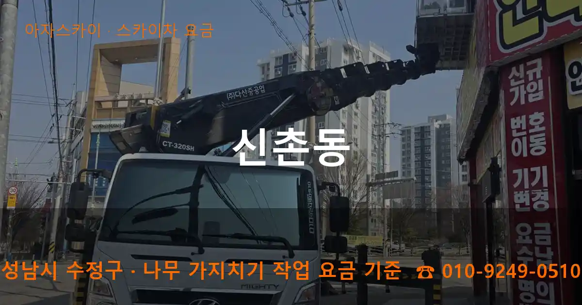 성남시 수정구 신촌동 스카이차 요금 작업