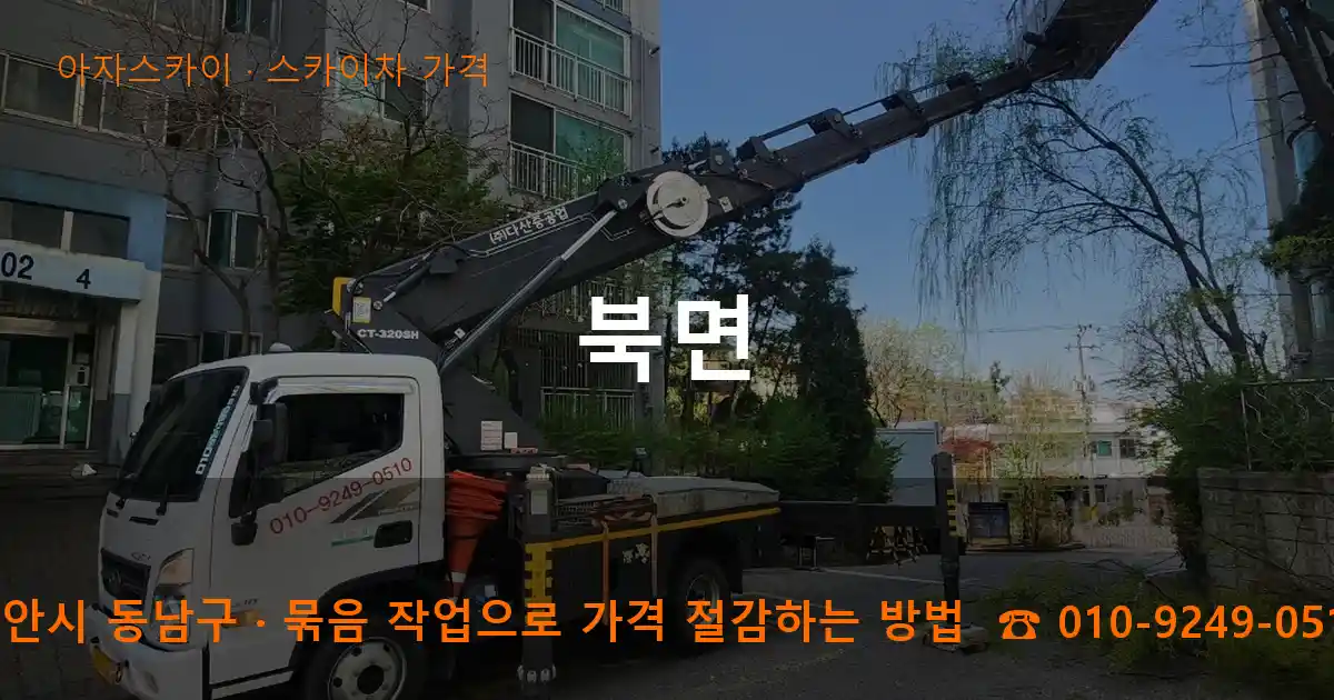 천안시 동남구 북면 스카이차 가격 작업
