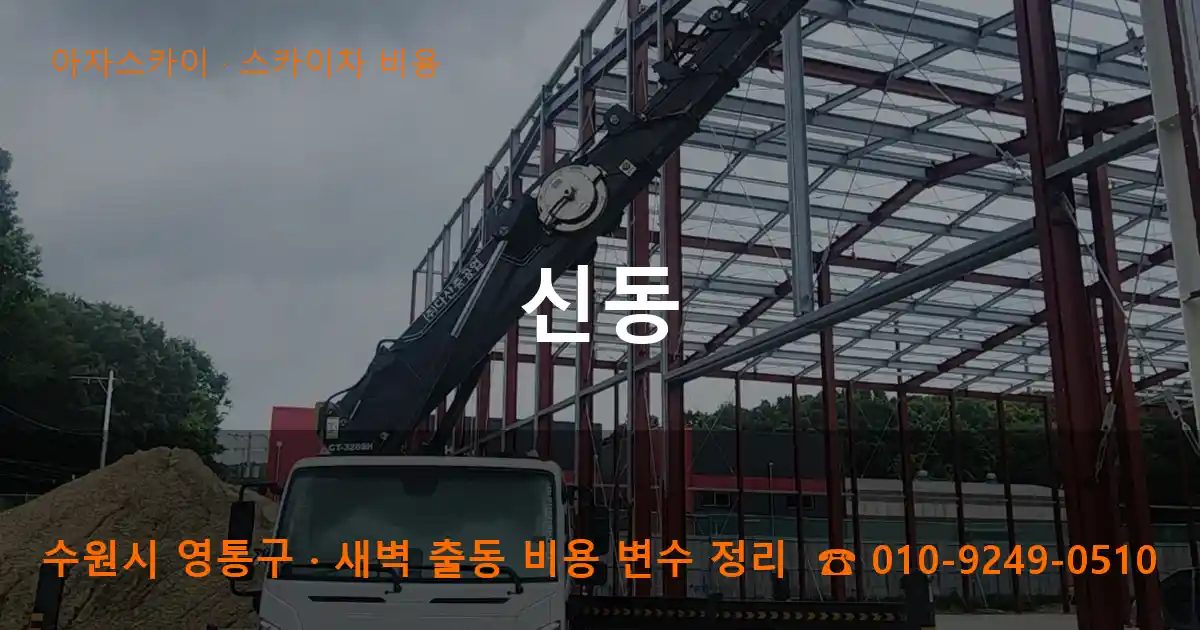 수원시 영통구 신동 스카이차 비용 작업