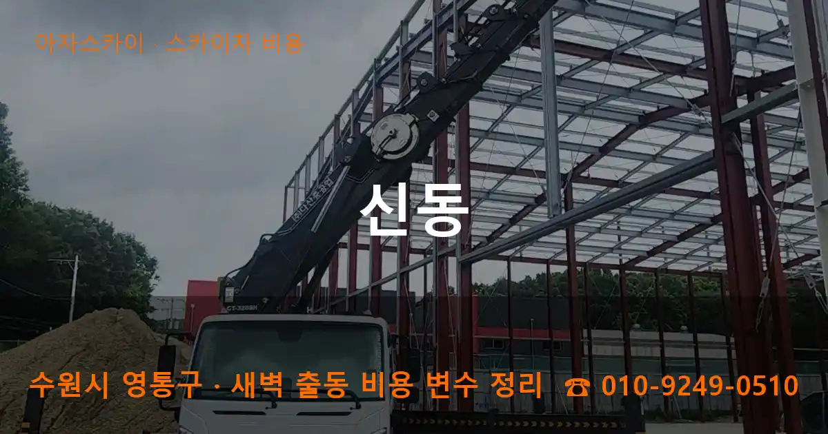수원 영통구 신동 스카이차 비용 작업