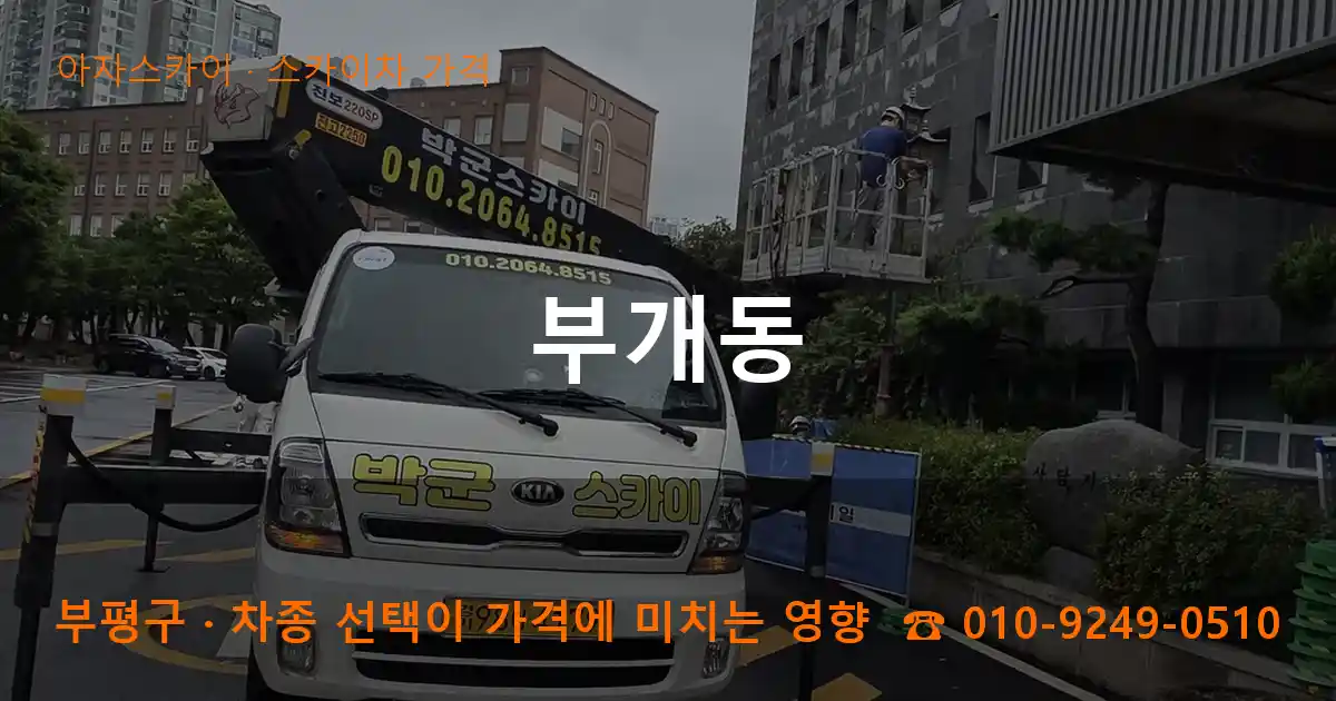 부평구 부개동 스카이차 가격 작업