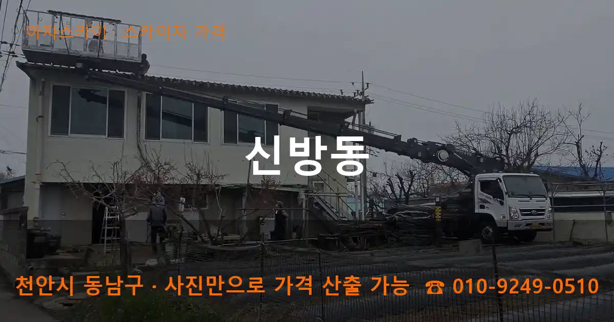 천안 동남구 신방동 스카이차 가격 작업