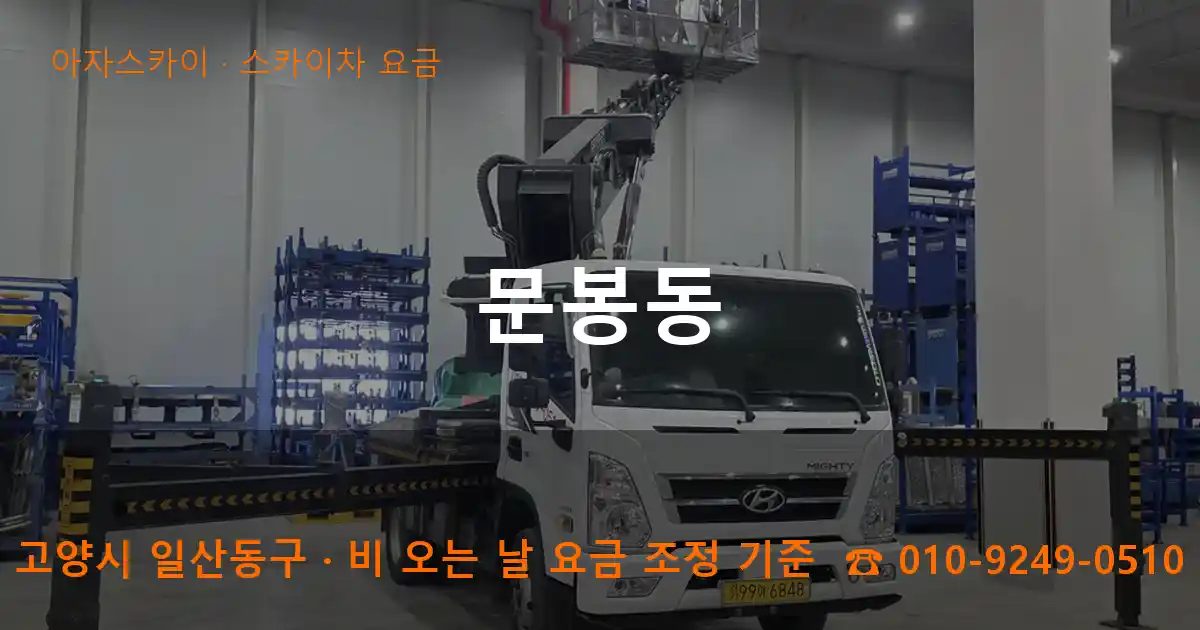 고양시 일산동구 문봉동 스카이차 요금 작업