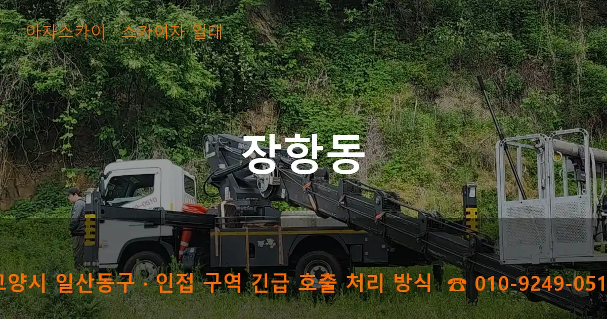 고양시 일산동구 장항동 스카이차 일대 작업