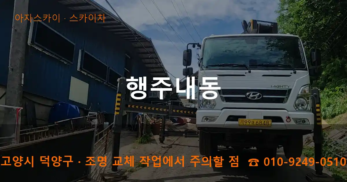 고양시 덕양구 행주내동 스카이차 작업