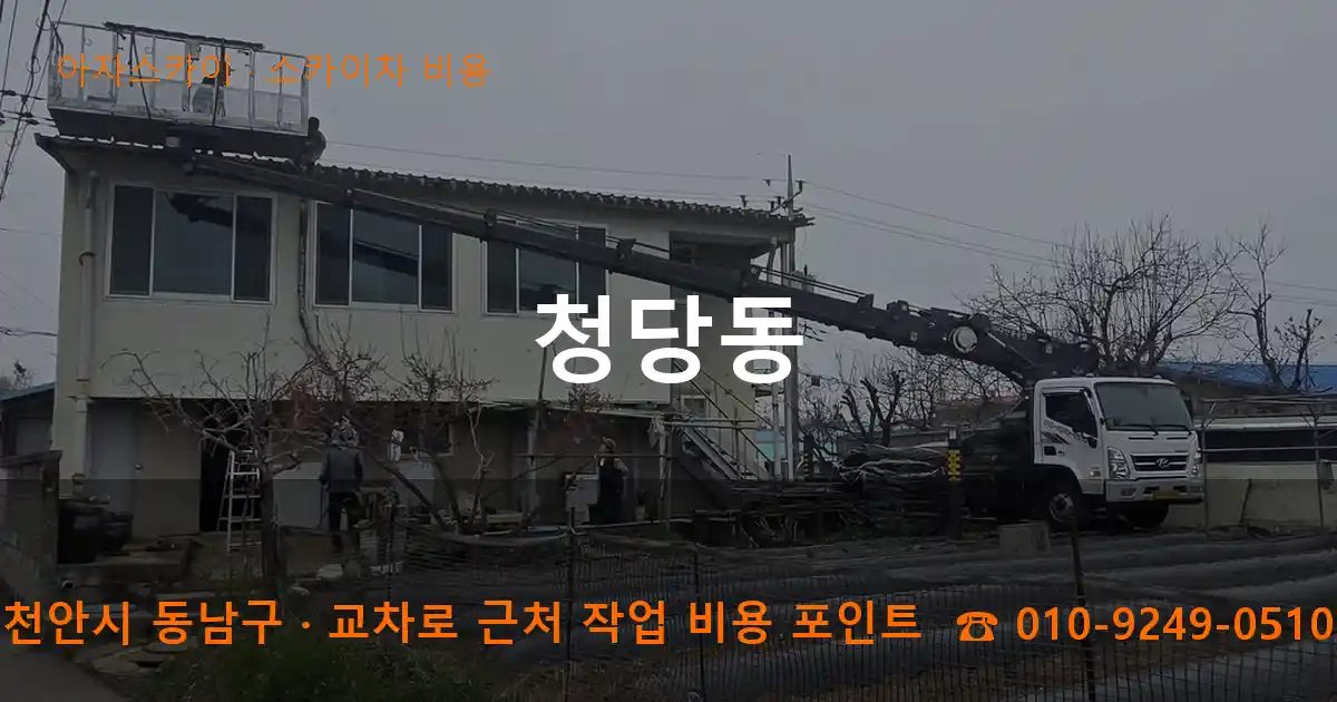 천안시 동남구 청당동 스카이차 비용 작업