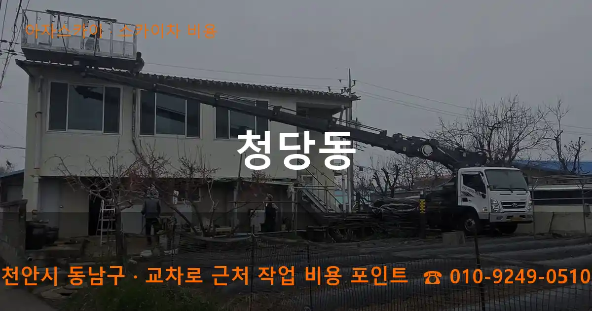 천안시 동남구 청당동 스카이차 비용 작업