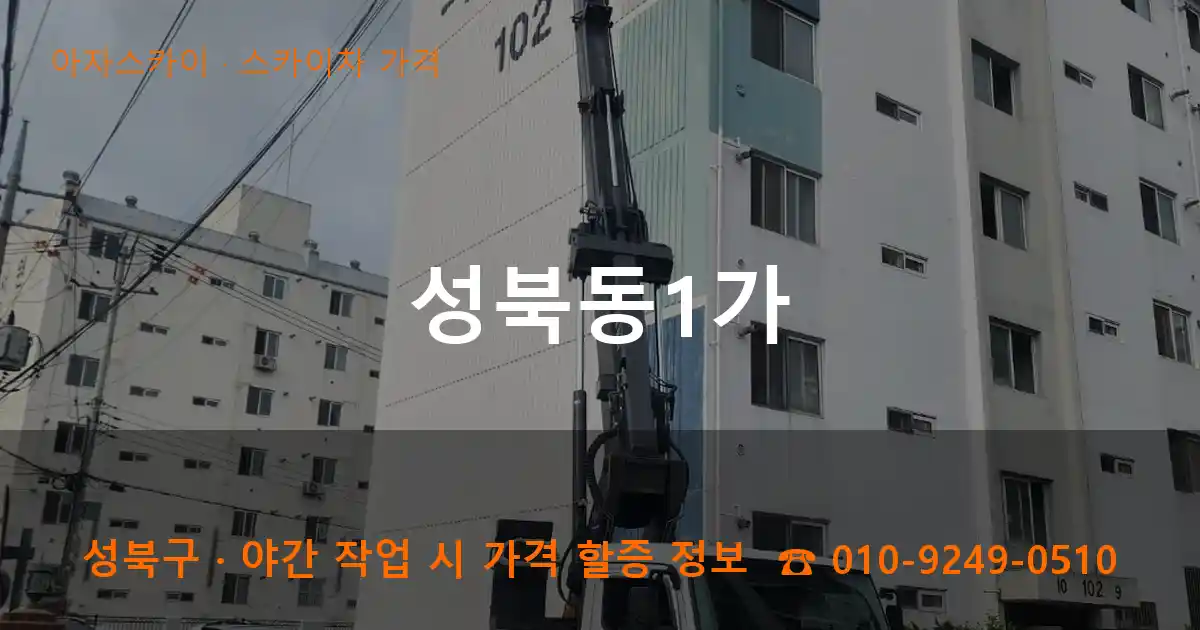 성북구 성북동1가 스카이차 가격 작업