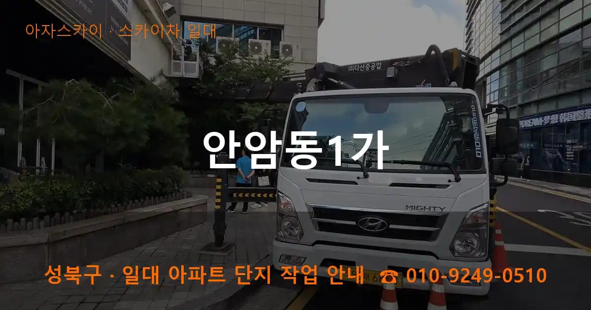 성북구 안암동1가 스카이차 출장 작업