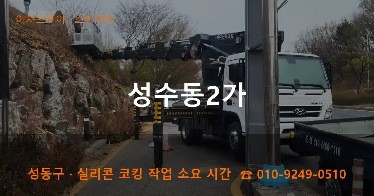 성동구 성수동2가 스카이차 작업
