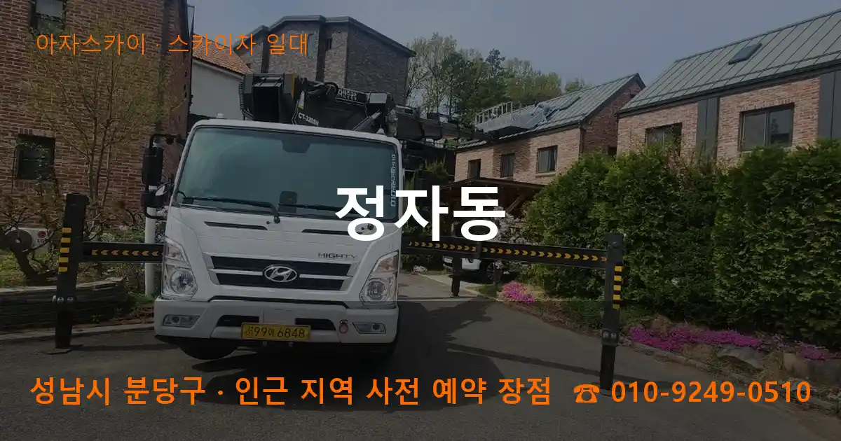 성남시 분당구 정자동 스카이차 일대 작업