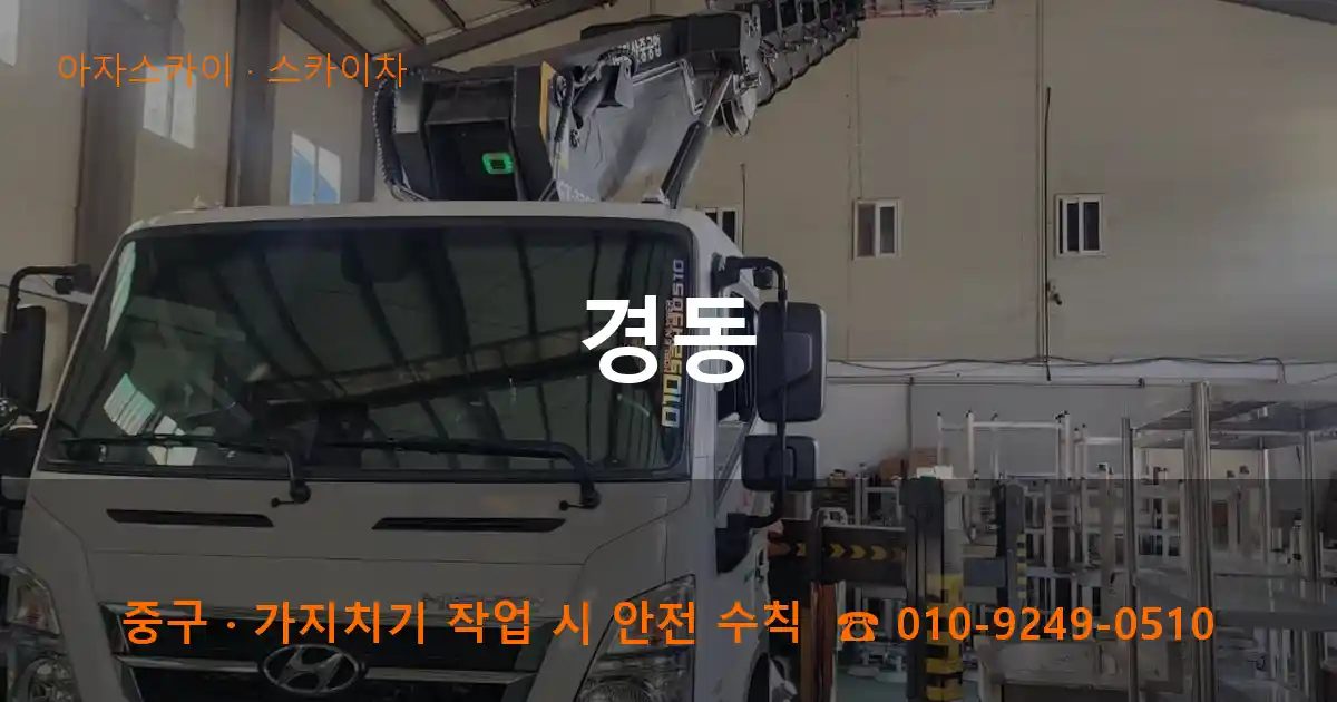 중구 경동 스카이차 작업