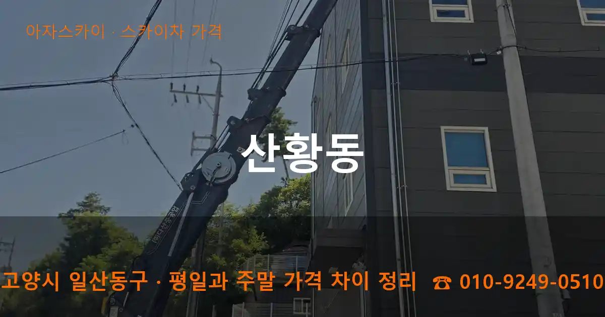 고양시 일산동구 산황동 스카이차 가격 작업