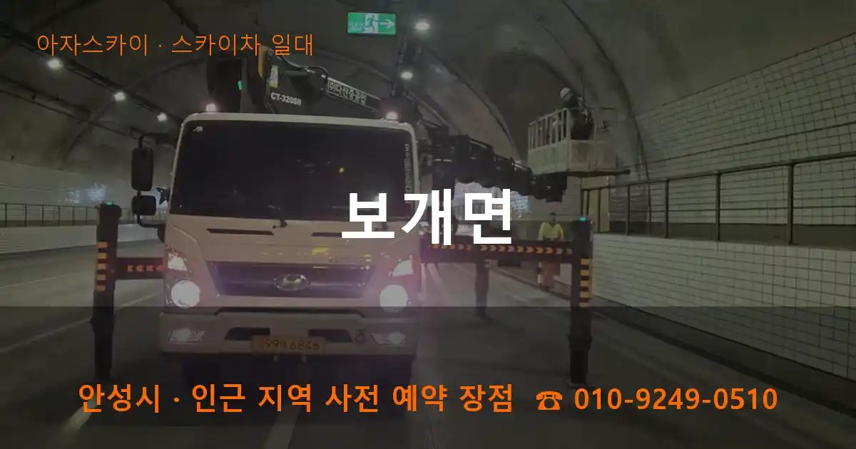 안성시 보개면 스카이차 출장 작업