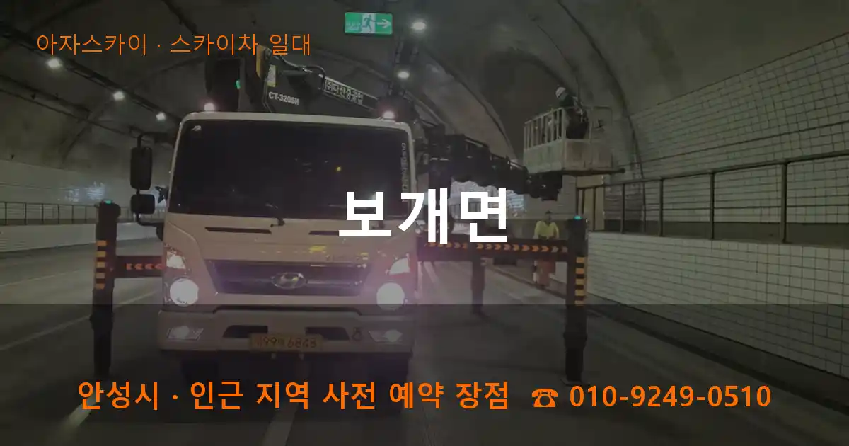 안성시 보개면 스카이차 일대 작업