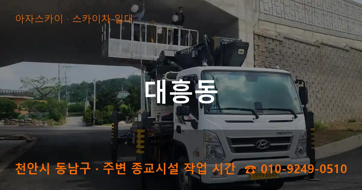 천안 동남구 대흥동 스카이차 일대 작업