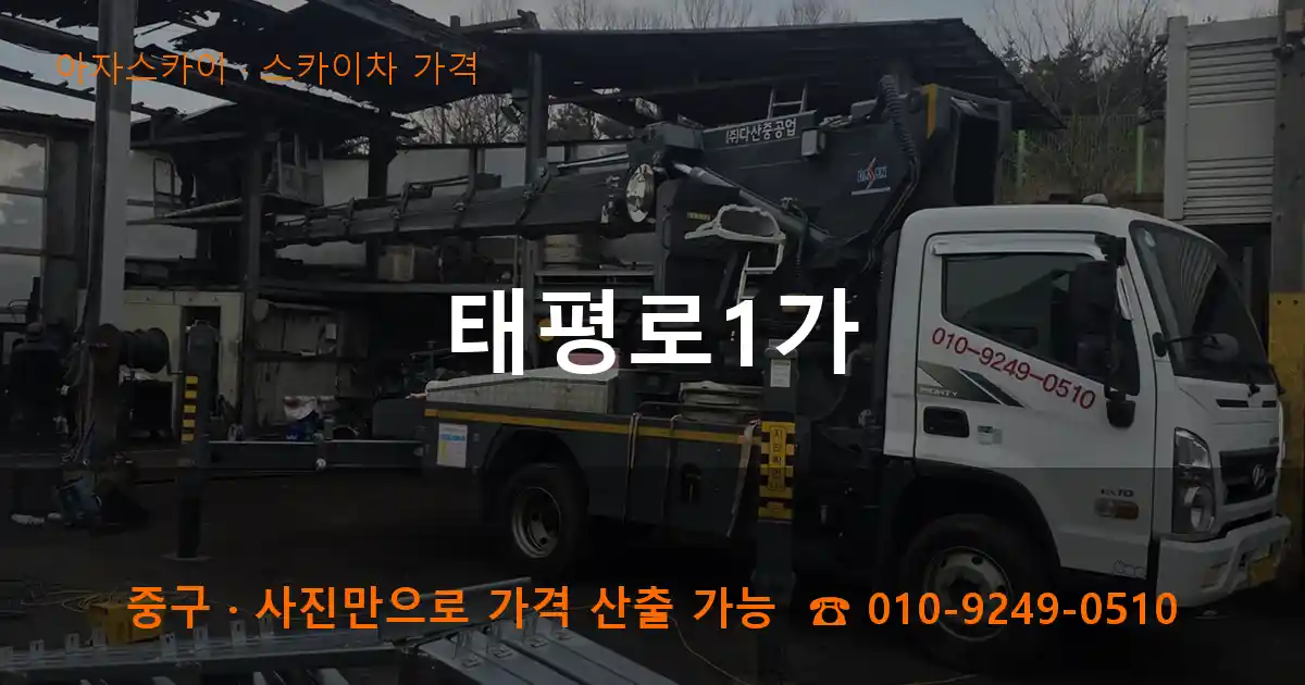 중구 태평로1가 스카이차 가격 작업