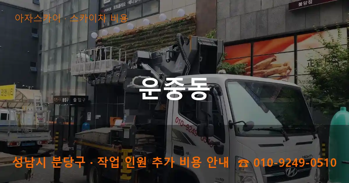 성남 분당구 운중동 스카이차 비용 작업