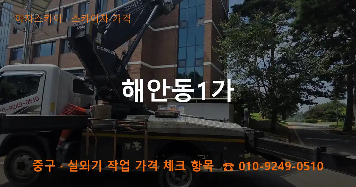 중구 해안동1가 스카이차 가격 작업