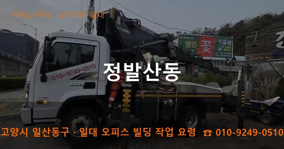 고양시 일산동구 정발산동 스카이차 출장 작업