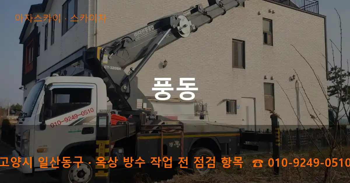 고양시 일산동구 풍동 스카이차 작업