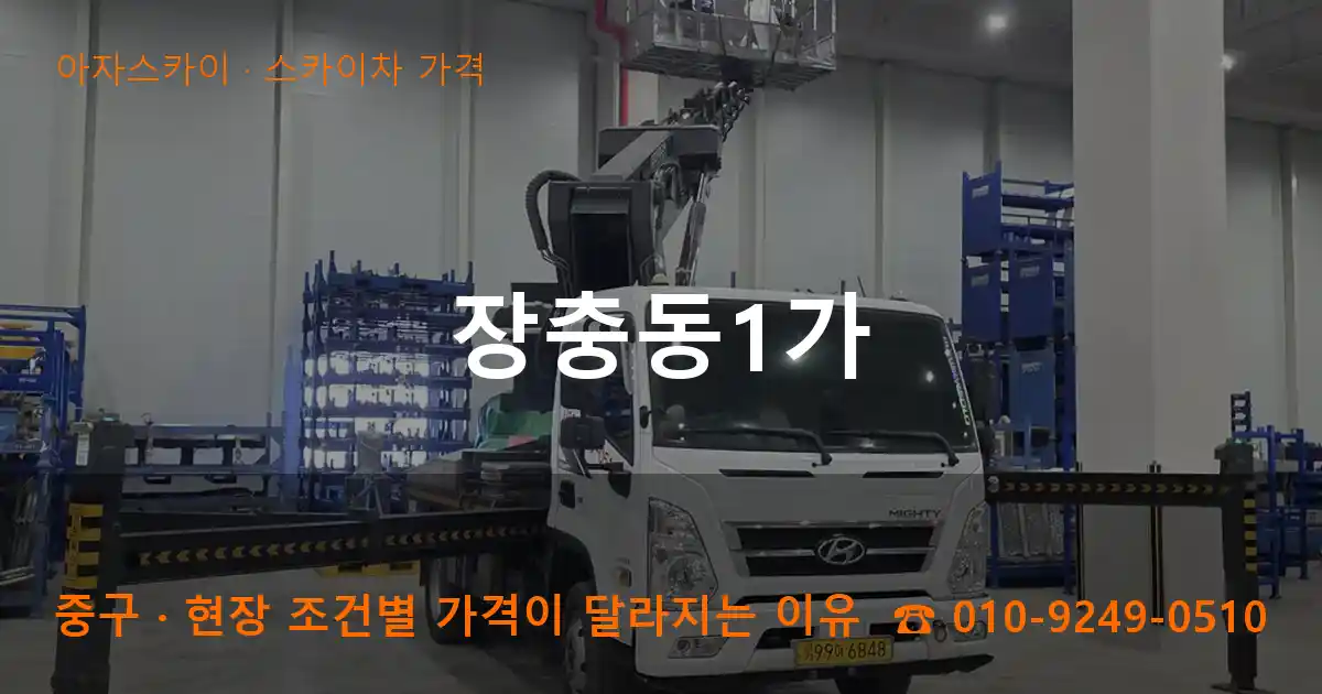 중구 장충동1가 스카이차 가격 작업